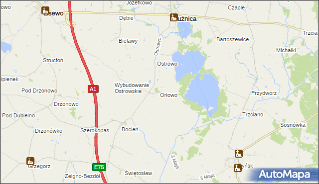 mapa Orłowo gmina Płużnica, Orłowo gmina Płużnica na mapie Targeo