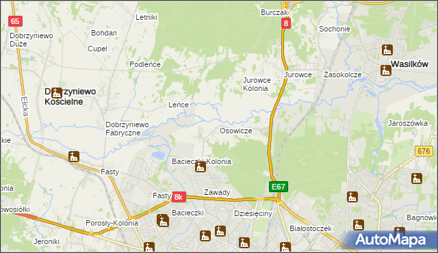 mapa Osowicze, Osowicze na mapie Targeo