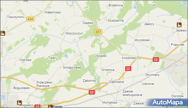 mapa Osówiec gmina Borek Wielkopolski, Osówiec gmina Borek Wielkopolski na mapie Targeo