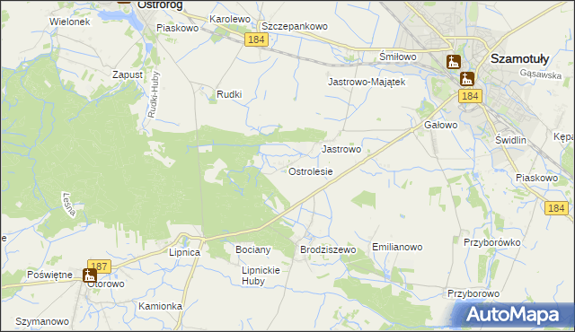 mapa Ostrolesie, Ostrolesie na mapie Targeo