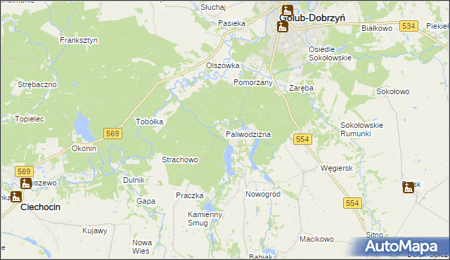 mapa Paliwodzizna, Paliwodzizna na mapie Targeo