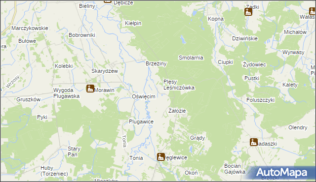 mapa Plęsy gmina Galewice, Plęsy gmina Galewice na mapie Targeo