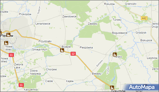 mapa Pleszówka, Pleszówka na mapie Targeo