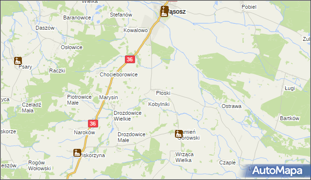 mapa Płoski, Płoski na mapie Targeo