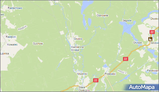 mapa Podszkle gmina Dobiegniew, Podszkle gmina Dobiegniew na mapie Targeo