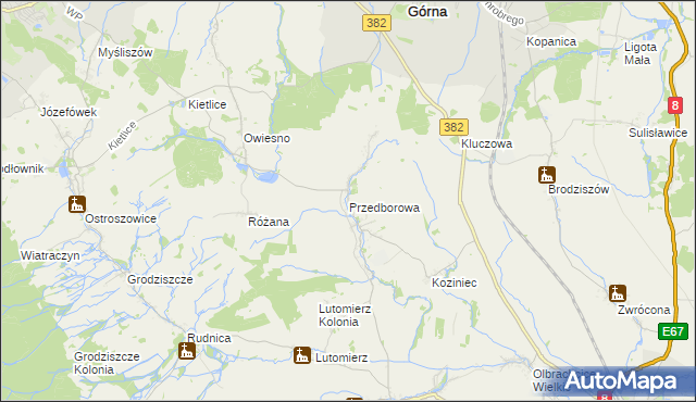 mapa Przedborowa, Przedborowa na mapie Targeo