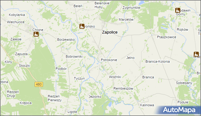 mapa Pstrokonie, Pstrokonie na mapie Targeo