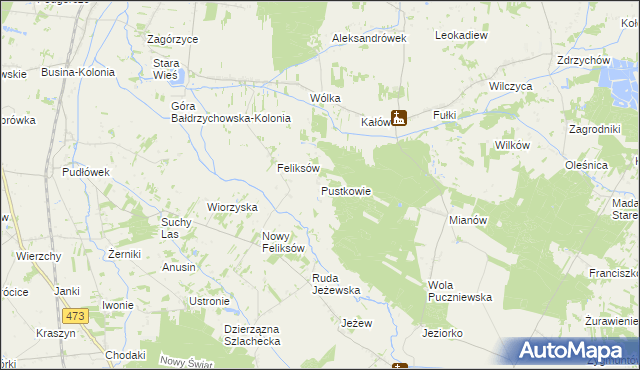 mapa Pustkowie gmina Poddębice, Pustkowie gmina Poddębice na mapie Targeo