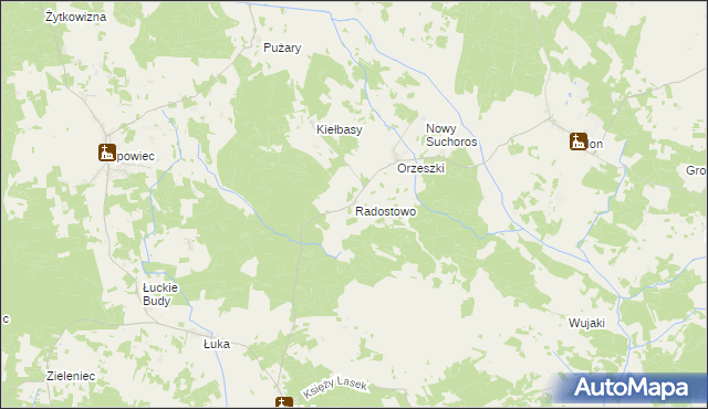 mapa Radostowo gmina Rozogi, Radostowo gmina Rozogi na mapie Targeo