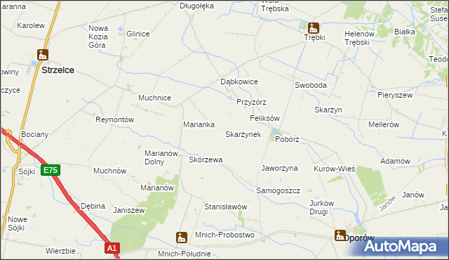 mapa Skarżynek gmina Oporów, Skarżynek gmina Oporów na mapie Targeo