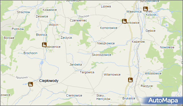 mapa Skoroszowice, Skoroszowice na mapie Targeo