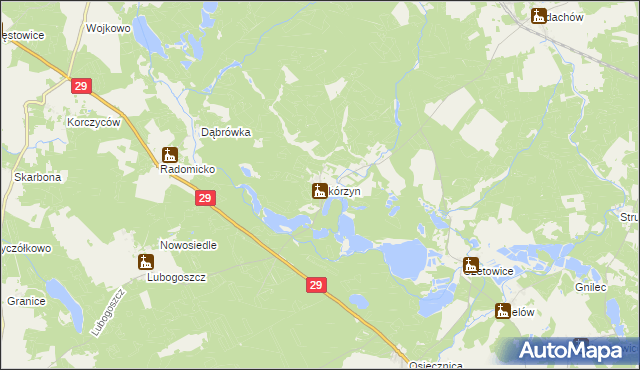 mapa Skórzyn gmina Maszewo, Skórzyn gmina Maszewo na mapie Targeo