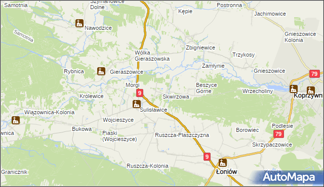 mapa Skwirzowa, Skwirzowa na mapie Targeo