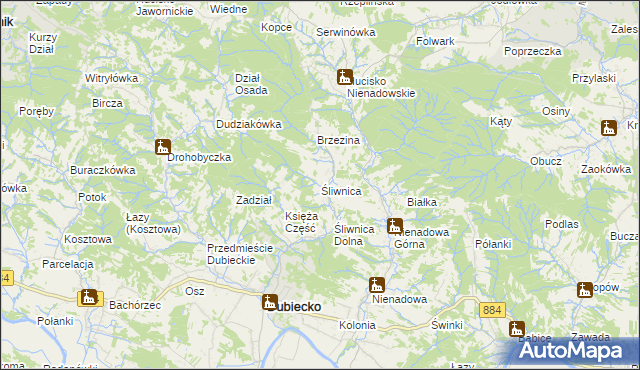 mapa Śliwnica gmina Dubiecko, Śliwnica gmina Dubiecko na mapie Targeo