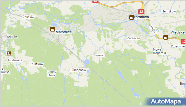 mapa Śliwnik, Śliwnik na mapie Targeo