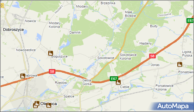 mapa Sokołowice gmina Oleśnica, Sokołowice gmina Oleśnica na mapie Targeo