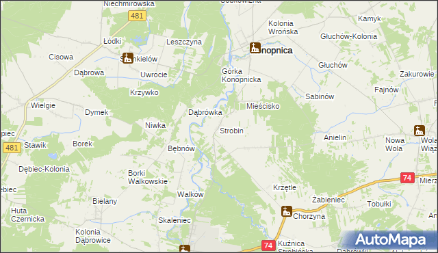 mapa Strobin, Strobin na mapie Targeo