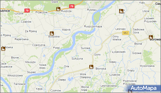 mapa Surowa gmina Borowa, Surowa gmina Borowa na mapie Targeo