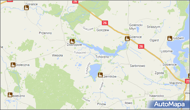 mapa Tchórzno, Tchórzno na mapie Targeo