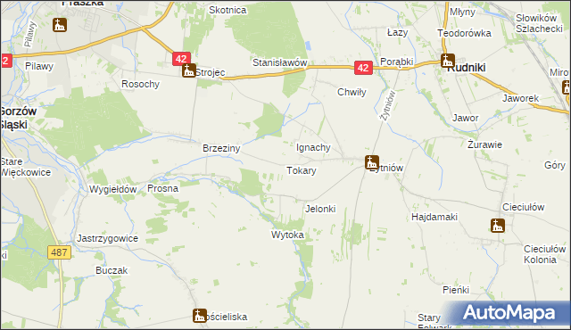 mapa Tokary gmina Praszka, Tokary gmina Praszka na mapie Targeo