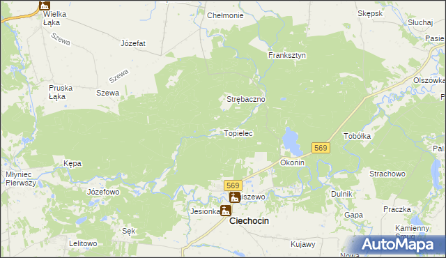 mapa Topielec, Topielec na mapie Targeo