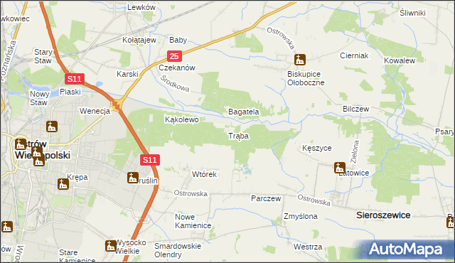 mapa Trąba, Trąba na mapie Targeo