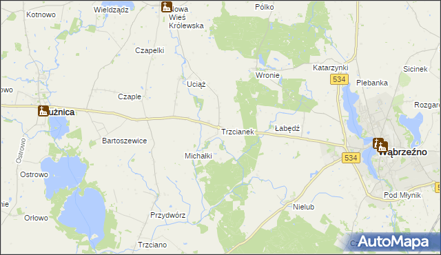 mapa Trzcianek, Trzcianek na mapie Targeo