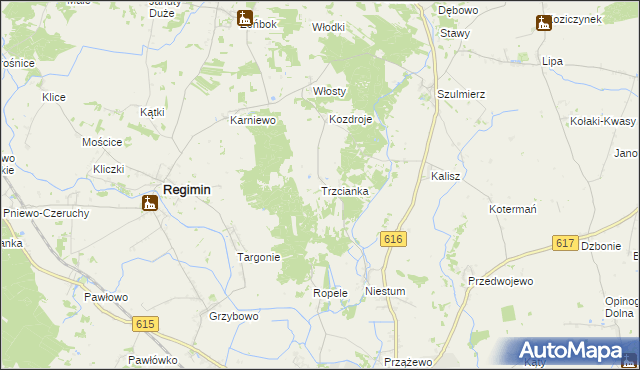 mapa Trzcianka gmina Regimin, Trzcianka gmina Regimin na mapie Targeo