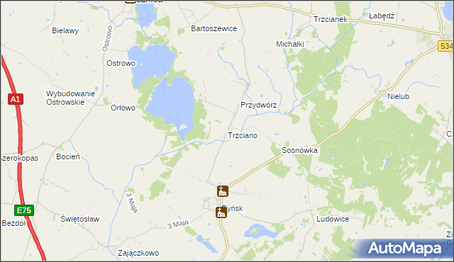 mapa Trzciano gmina Ryńsk, Trzciano gmina Ryńsk na mapie Targeo