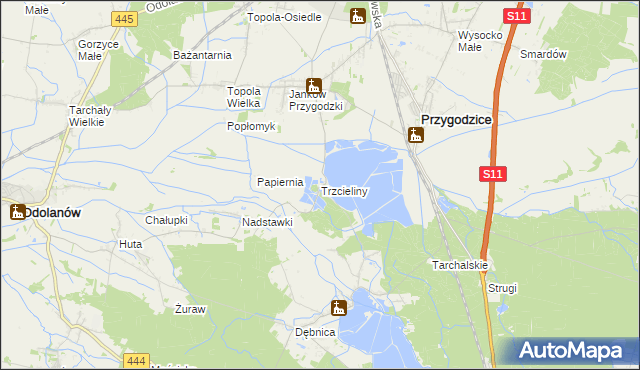 mapa Trzcieliny gmina Przygodzice, Trzcieliny gmina Przygodzice na mapie Targeo