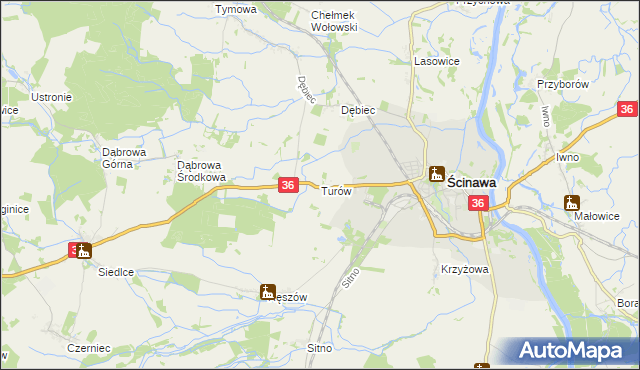 mapa Turów gmina Ścinawa, Turów gmina Ścinawa na mapie Targeo