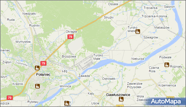 mapa Tursko Małe, Tursko Małe na mapie Targeo