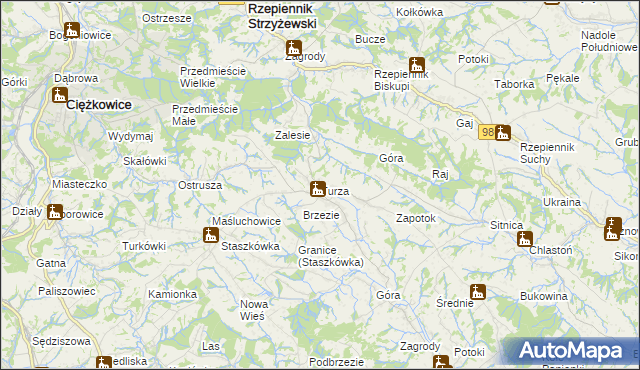 mapa Turza gmina Rzepiennik Strzyżewski, Turza gmina Rzepiennik Strzyżewski na mapie Targeo