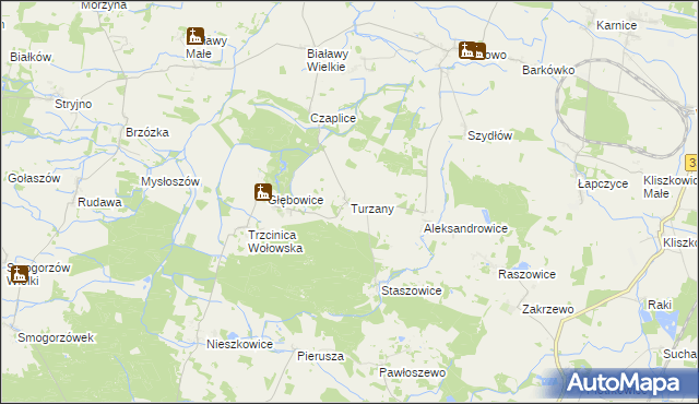 mapa Turzany gmina Wińsko, Turzany gmina Wińsko na mapie Targeo