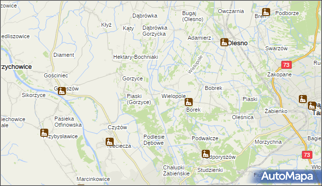 mapa Wielopole gmina Olesno, Wielopole gmina Olesno na mapie Targeo