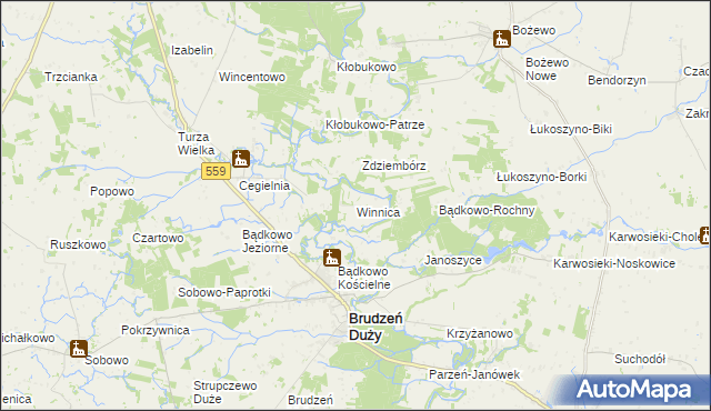 mapa Winnica gmina Brudzeń Duży, Winnica gmina Brudzeń Duży na mapie Targeo