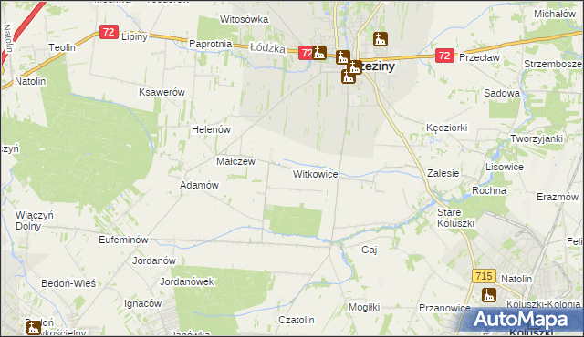 mapa Witkowice gmina Brzeziny, Witkowice gmina Brzeziny na mapie Targeo