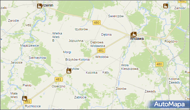mapa Witoldów gmina Widawa, Witoldów gmina Widawa na mapie Targeo