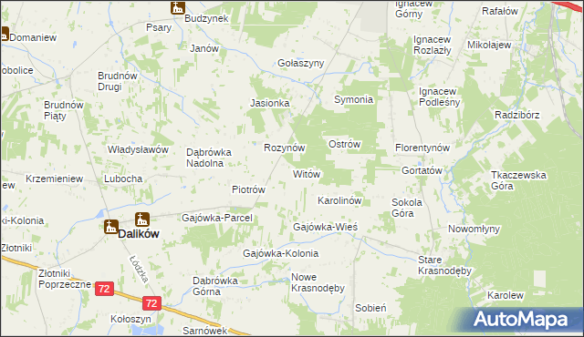 mapa Witów gmina Dalików, Witów gmina Dalików na mapie Targeo