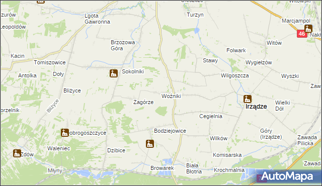 mapa Woźniki gmina Irządze, Woźniki gmina Irządze na mapie Targeo