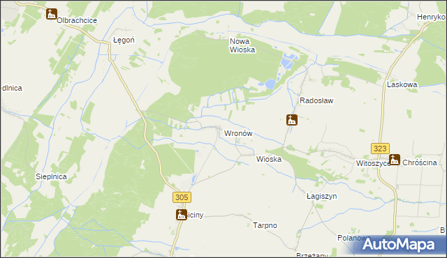 mapa Wronów gmina Niechlów, Wronów gmina Niechlów na mapie Targeo