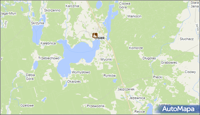 mapa Wycinki gmina Osiek, Wycinki gmina Osiek na mapie Targeo