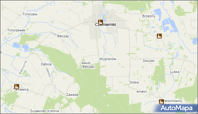 mapa Wygnanów gmina Czemierniki, Wygnanów gmina Czemierniki na mapie Targeo