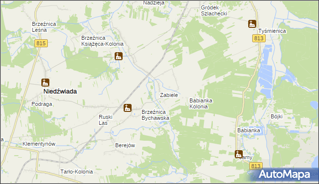 mapa Zabiele gmina Niedźwiada, Zabiele gmina Niedźwiada na mapie Targeo