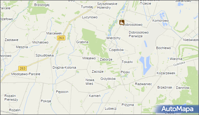 mapa Zaborze gmina Słupca, Zaborze gmina Słupca na mapie Targeo