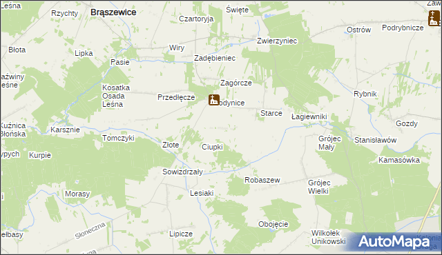 mapa Zagóra gmina Brąszewice, Zagóra gmina Brąszewice na mapie Targeo