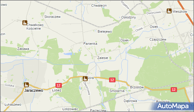 mapa Zalesie gmina Jaraczewo, Zalesie gmina Jaraczewo na mapie Targeo