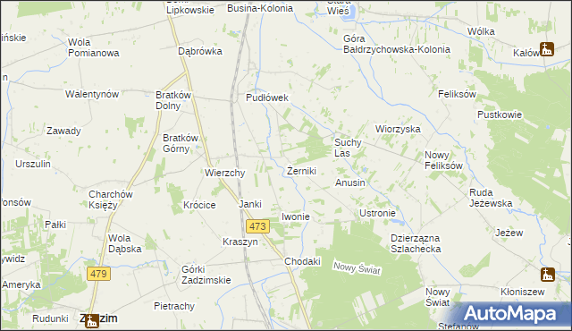 mapa Żerniki gmina Zadzim, Żerniki gmina Zadzim na mapie Targeo