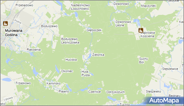 mapa Zielonka gmina Murowana Goślina, Zielonka gmina Murowana Goślina na mapie Targeo