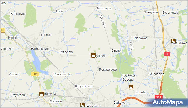 mapa Żydowo gmina Rokietnica, Żydowo gmina Rokietnica na mapie Targeo